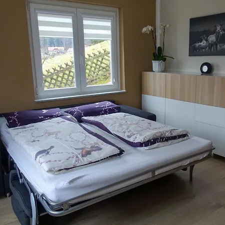 Am Hirschkopf 公寓 *